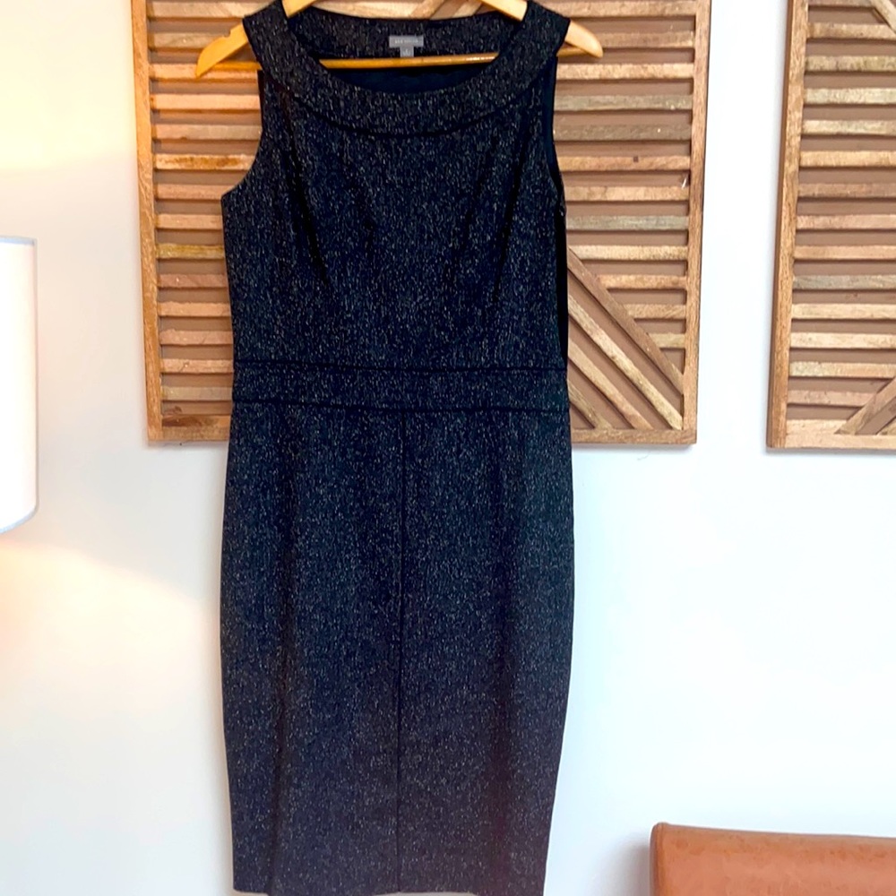 Gorgeous Ann Taylor Chic Shift Dress